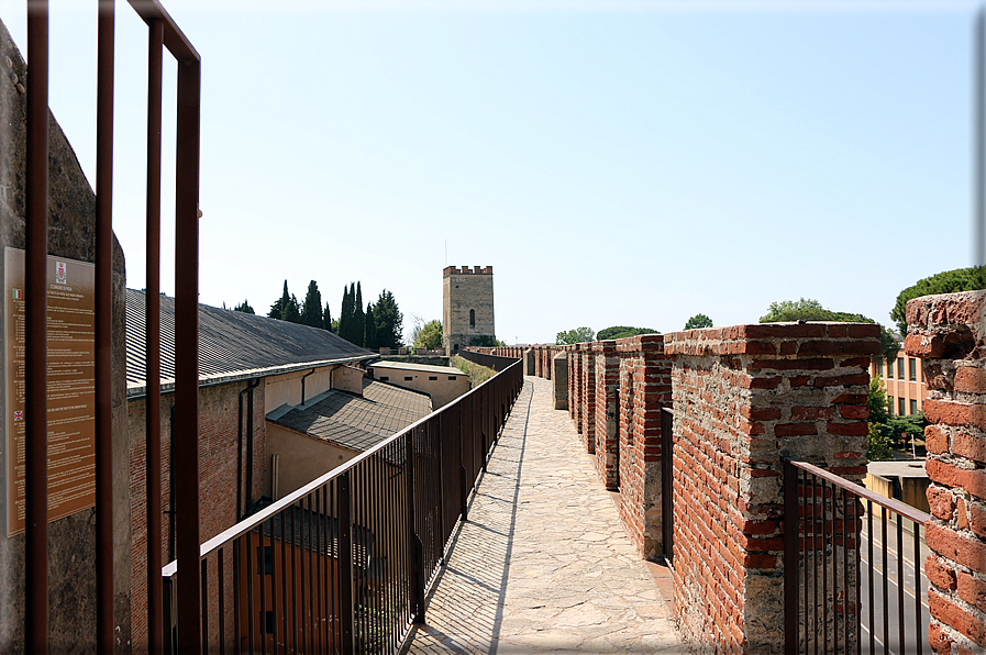 foto Camminamento delle mura di Pisa